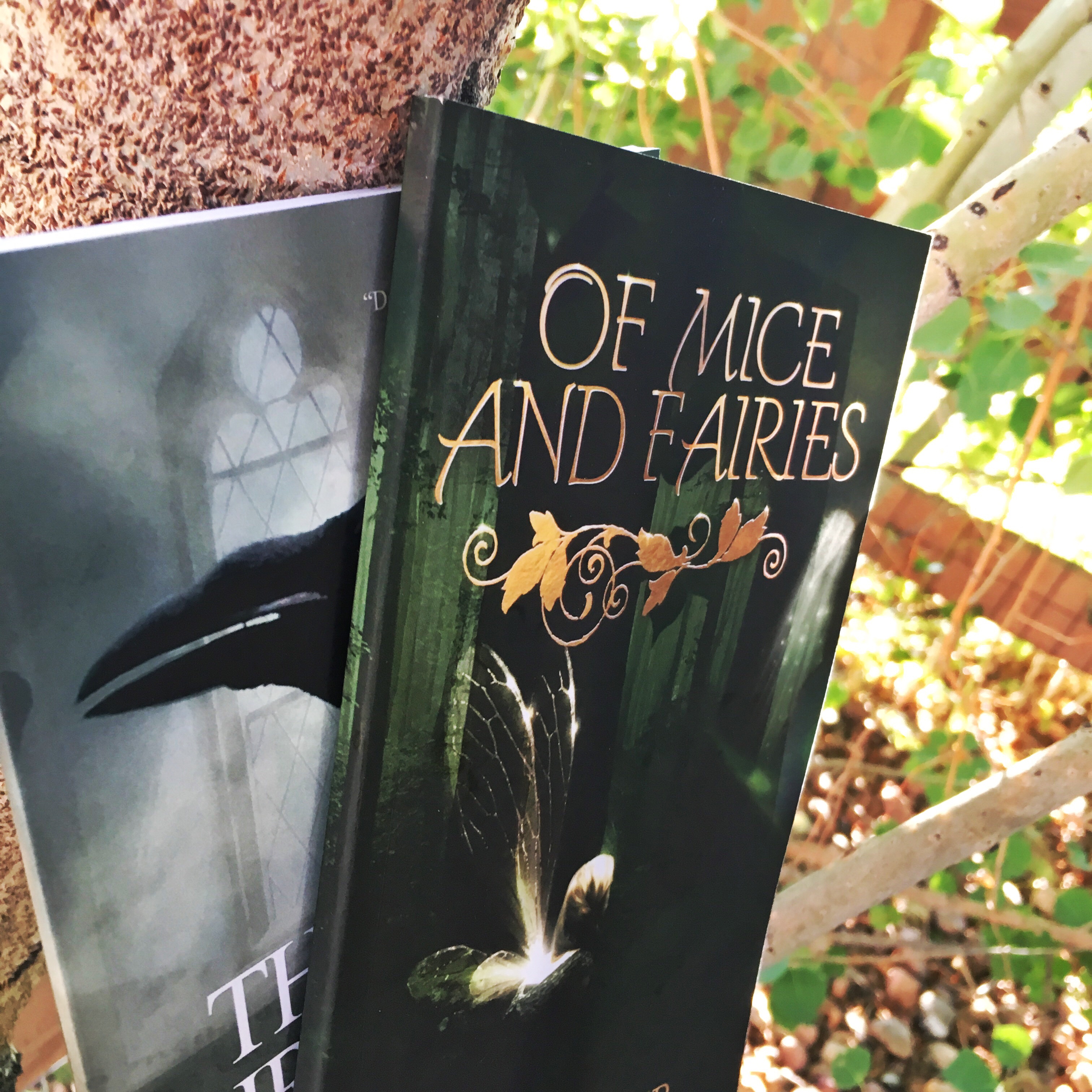 Of Mice and Fairies and The Birdwoman