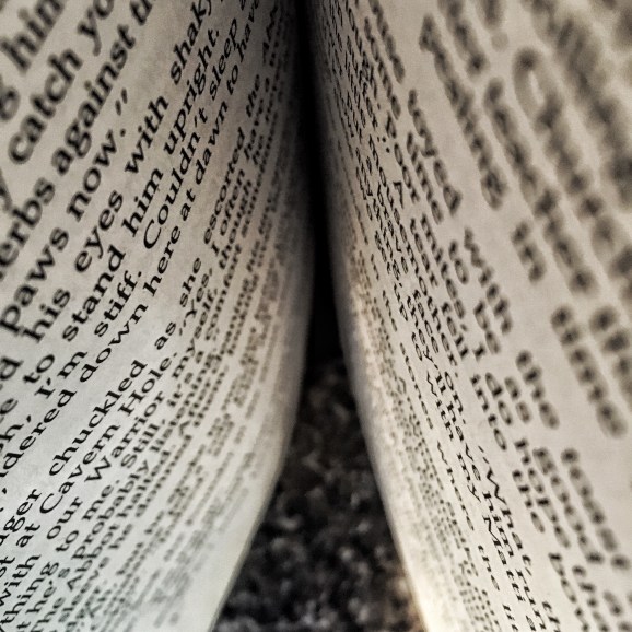 Book Picture A.R. Geiger