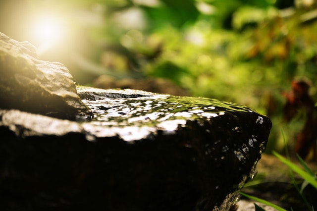 blur-calm-close-up-268022.jpg
